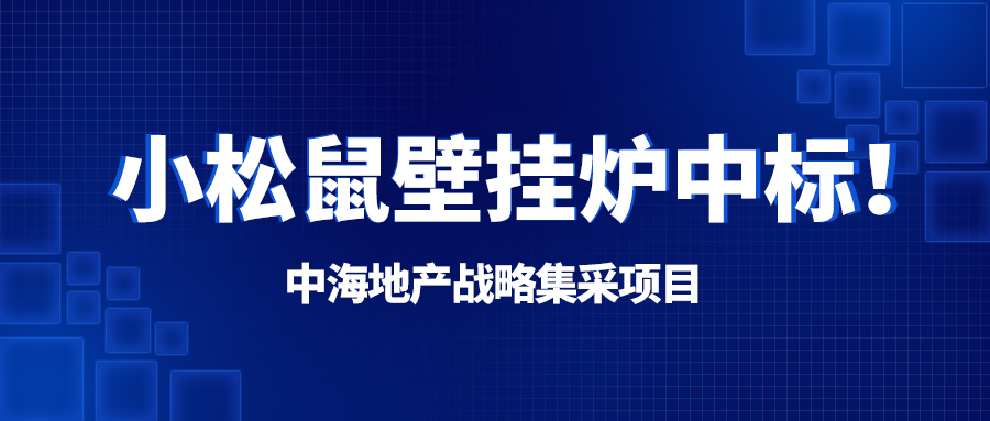 小松鼠壁挂炉