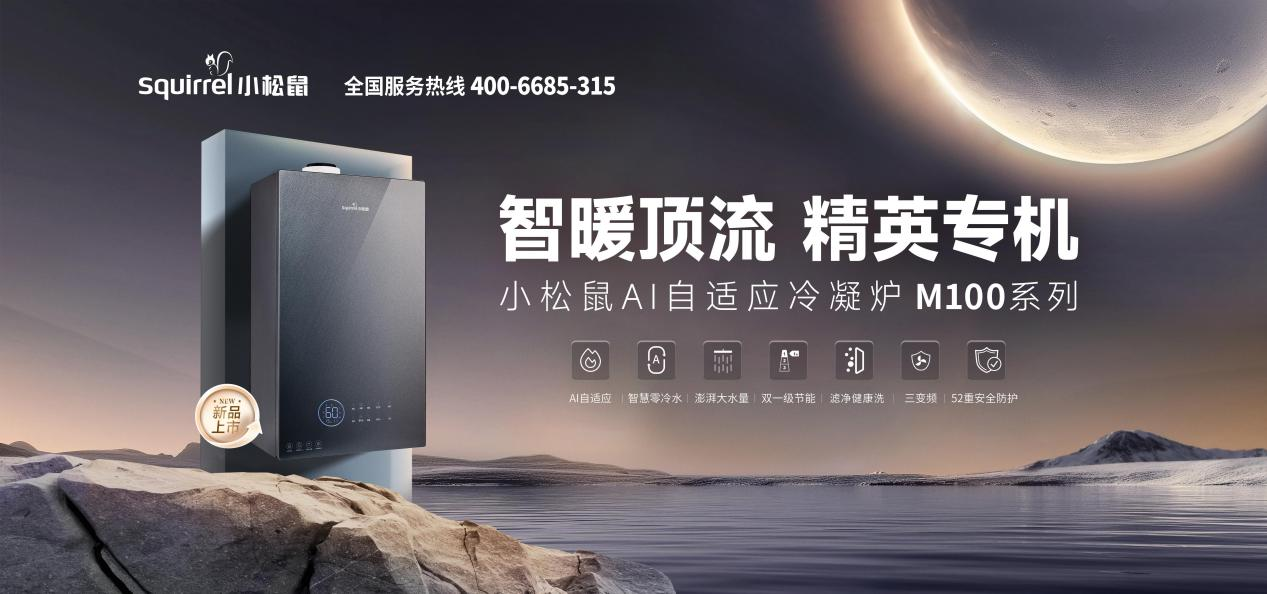 燃气壁挂炉 燃气壁挂炉