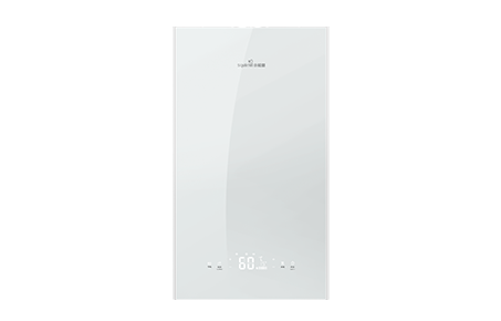 Wall-hung gas boilers